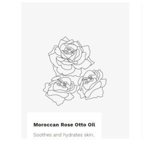 moroccan rose otto
